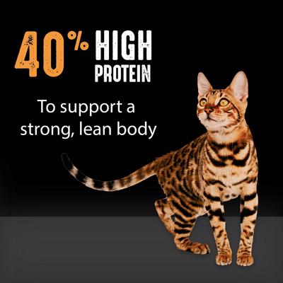 Show full view: Crave with Protein from Chicken Adult Grain-Free Dry Cat Food, 4-lb bag slide 6 of 13
