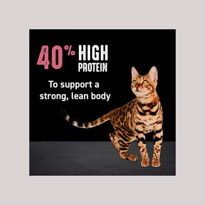 Show full view: Crave with Protein from Chicken & Salmon Indoor Adult Grain-Free Dry Cat Food, 10-lb bag slide 6 of 13