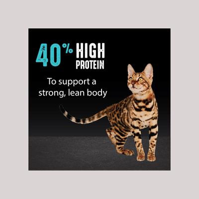 Show full view: Crave with Protein from Salmon & Ocean Fish Adult Grain-Free Dry Cat Food, 4-lb bag slide 6 of 13