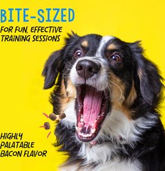 Crazy Dog Train-Me! Bacon Flavor Dog Treats, 1-lb bag slide 2 of 7