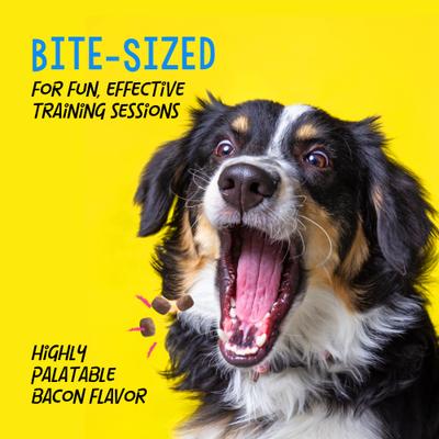 Show full view: Crazy Dog Train-Me! Bacon Flavor Dog Treats, 1-lb bag slide 5 of 10