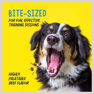 Show full view: Crazy Dog Train-Me! Minis Beef Flavor Dog Treats, 4-oz bag slide 6 of 11