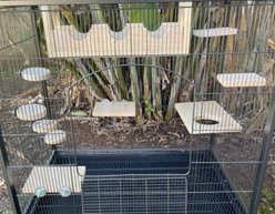 CrazyCritterThings Cage To Castle Small Pet Habitat Accessory slide 1 of 2