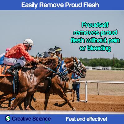 Show full view: Creative Science Proudsoff Horse Ointment, 3-oz jar slide 4 of 9