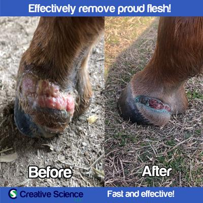 Show full view: Creative Science Proudsoff Horse Ointment, 3-oz jar slide 5 of 9