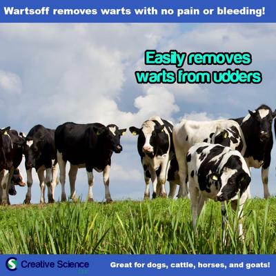 Show full view: Creative Science Wartsoff Wart Dog & Horse Ointment, 4-oz jar slide 5 of 8