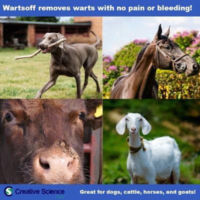 Show full view: Creative Science Wartsoff Wart Dog & Horse Ointment, 4-oz jar slide 6 of 8