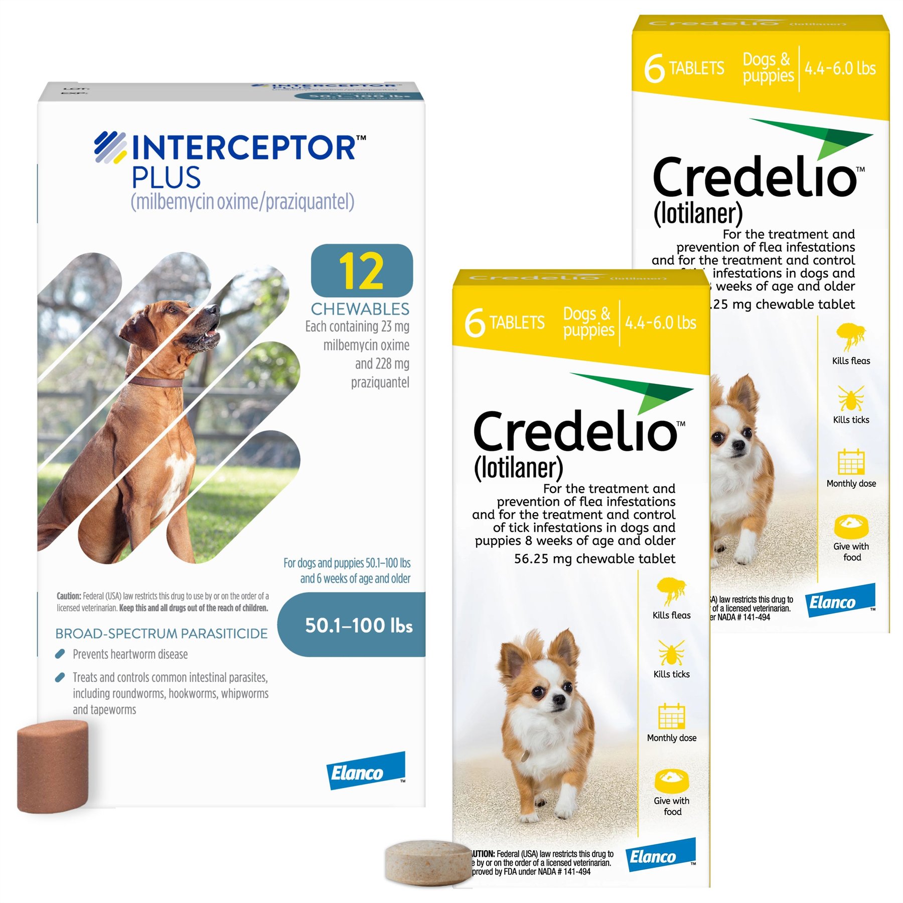 Credelio Chewable Tablet, 4.4-6 lbs, (Yellow Box), 12 Chewable Tablets (12-mos. supply) + Interceptor Plus Chew for Dogs, 50.1-100 lbs, (Blue Box), 12 Chews (12-mos. supply)