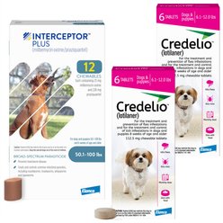 Credelio Chewable Tablet, 6.1-12 lbs, (Pink Box), 12 Chewable Tablets (12-mos. supply) + Interceptor Plus Chew for Dogs, 50.1-100 lbs, (Blue Box), 12 Chews (12-mos. supply)