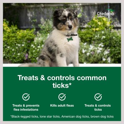 Show full view: Credelio Chewable Tablet, 6.1-12 lbs, (Pink Box), 12 Chewable Tablets (12-mos. supply) + Interceptor Plus Chew for Dogs, 50.1-100 lbs, (Blue Box), 12 Chews (12-mos. supply) slide 4 of 9