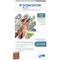 Show in main carousel: Credelio Chewable Tablet, 6.1-12 lbs, (Pink Box), 12 Chewable Tablets (12-mos. supply) + Interceptor Plus Chew for Dogs, 50.1-100 lbs, (Blue Box), 12 Chews (12-mos. supply) slide 6 of 9