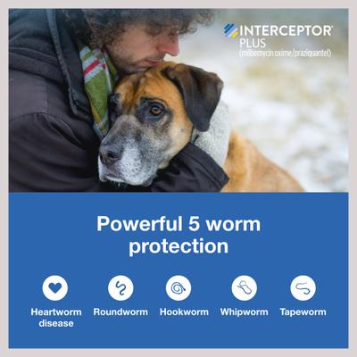 Show full view: Credelio Chewable Tablet, 6.1-12 lbs, (Pink Box), 12 Chewable Tablets (12-mos. supply) + Interceptor Plus Chew for Dogs, 50.1-100 lbs, (Blue Box), 12 Chews (12-mos. supply) slide 9 of 9