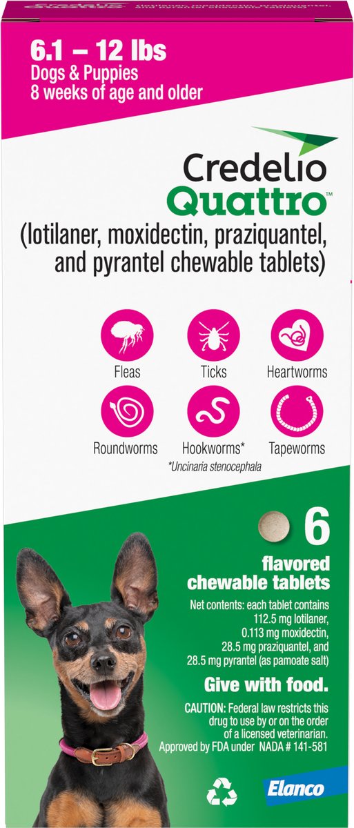 How Much Is Credelio For Dogs CREDELIO QUATTRO Chewable Tablets for Dogs, 6.1-12 lbs, 6 Chewables (6