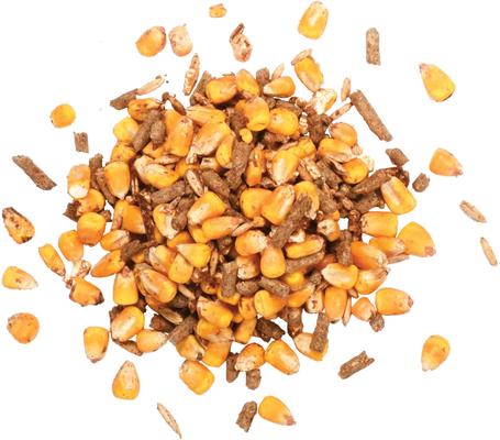 Show full view: Croixdale Wildlife Delight Mix Seeds Jay & Turkey Wild Bird Food, 50-lb bag slide 2 of 3