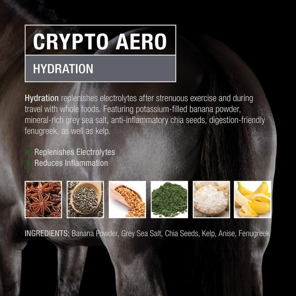 Crypto Aero Hydration & Recovery Powder Horse Supplement
