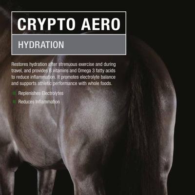 Show full view: Crypto Aero Hydration & Recovery Powder Horse Supplement, 2.5-lb bag slide 3 of 5