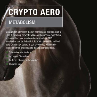 Show full view: Crypto Aero Metabolism Powder Horse Supplement, 2.5-lb bag slide 3 of 6