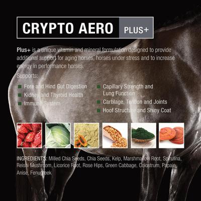 Show full view: Crypto Aero Plus Comprehensive Powder Horse Supplement, 2.5-lb bag slide 2 of 5