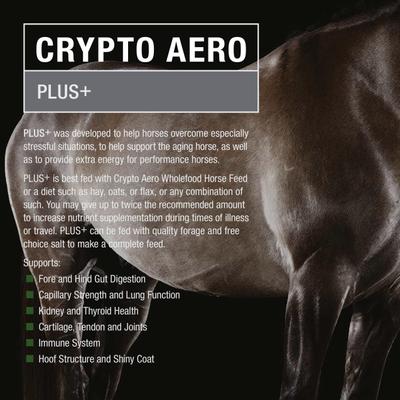 Show full view: Crypto Aero Plus Comprehensive Powder Horse Supplement, 5-lb bag slide 3 of 5