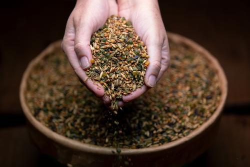 Show full view: Crypto Aero Top Chick Layer Chicken Feed, 25-lb bag slide 2 of 8