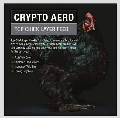Show full view: Crypto Aero Top Chick Layer Chicken Feed, 25-lb bag slide 6 of 8