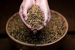 Crypto Aero Top Chick Layer Chicken Feed, 50-lb bag slide 2 of 8