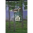 C&S EZ Fill Deluxe with Roof Suet Feeder