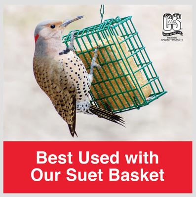 Show full view: C&S Hot Pepper Delight No Melt Suet Dough Wild Bird Food, 11.75-oz tray, 12 count slide 8 of 12