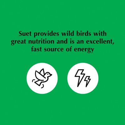 Show full view: C&S Mealworm Delight No Melt Suet Dough Wild Bird Food, 11.75-oz tray, 12 count slide 8 of 12