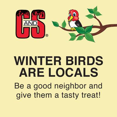 Show full view: C&S RTU Peanut Delight Log, Bird Food, 1-lb bag slide 9 of 11