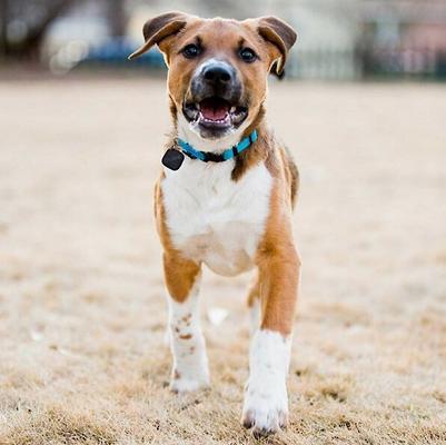 Show full view: Cube Bluetooth Smart Tracker slide 5 of 9