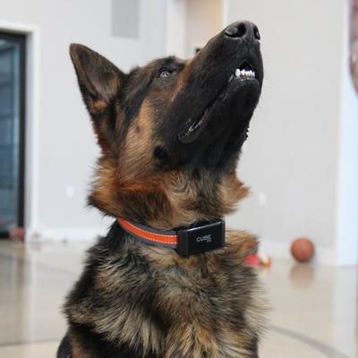 Show full view: Cube GPS Dog & Cat Collar Clips, 3 count slide 4 of 9