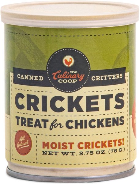 Culinary Coop Crickets Chicken Treats, 2.75-oz can
