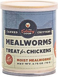 Culinary Coop Mealworms Chicken Treats, 2.75-oz can,  