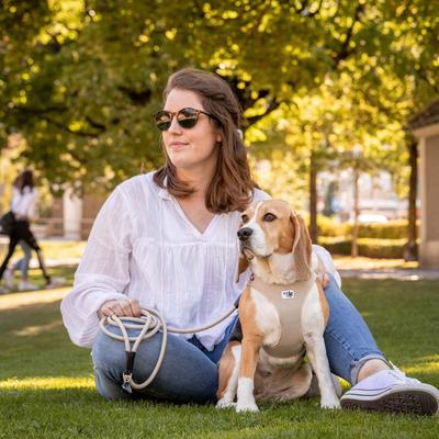 Show full view: Curli Clasp Vest Air-Mesh Dog Harness, Blue, Small slide 6 of 11