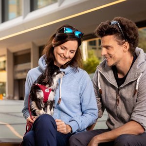 Curli Air-Mesh Small Dog Harness, Ruby, Medium