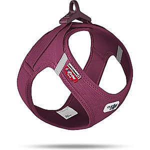 Curli Clasp Vest Air-Mesh Dog Harness, Ruby, Small