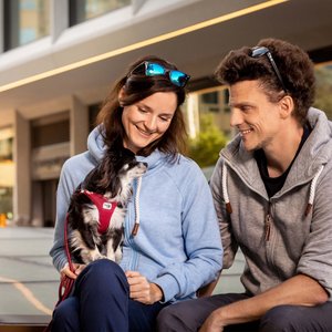 Curli Air-Mesh Small Dog Harness, Skyblue, Small