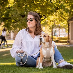 Curli Air-Mesh Small Dog Harness, Skyblue, Small