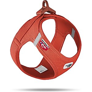 Curli Clasp Vest Air-Mesh Dog Harness, Sun Orange, Small