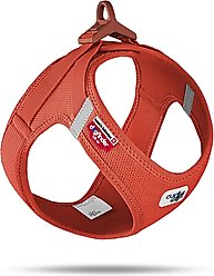 Curli Clasp Vest Air-Mesh Dog Harness, Sun Orange, X-Small