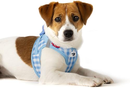 Show full view: Curli Clasp Vest Air-Mesh Reflective Dog Harness & Leash, Skyblue, Medium: 17 to 19-in chest slide 8 of 11