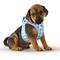 Show in main carousel: Curli Clasp Vest Air-Mesh Reflective Dog Harness & Leash, Skyblue, Small: 15 to 17-in chest slide 3 of 11