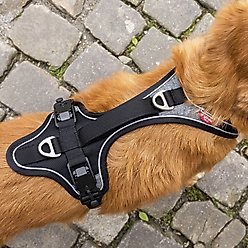 Curli Magnetic Belka Comfort Dog Harness, Black, Large slide 2 of 9