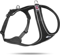 Curli Magnetic Belka Comfort Dog Harness, Black, Medium