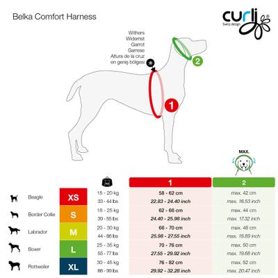Show full view: Curli Magnetic Belka Comfort Dog Harness, Black, Small slide 4 of 11