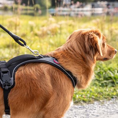 Show full view: Curli Magnetic Belka Comfort Dog Harness, Black, Small slide 10 of 11