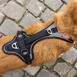 Curli Magnetic Large Dog Harness, Black, X-Small slide 2 of 8