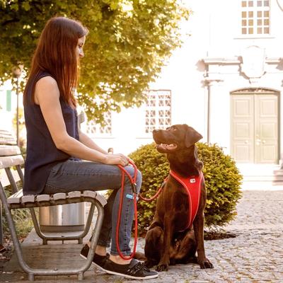 Show full view: Curli Stretch Comfort Dog Leash, Moss, Large slide 7 of 10