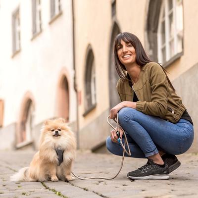 Show full view: Curli Stretch Comfort Dog Leash, Moss, Large slide 8 of 10